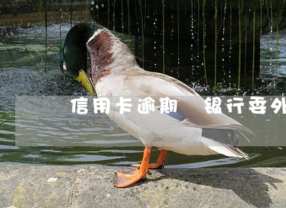 信用卡逾期 银行委外上门 信用卡逾期 银行委外上门